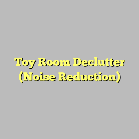 Toy Room Declutter (Noise Reduction)