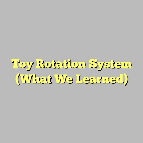 Toy Rotation System (What We Learned)
