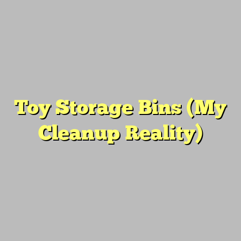 Toy Storage Bins (My Cleanup Reality)