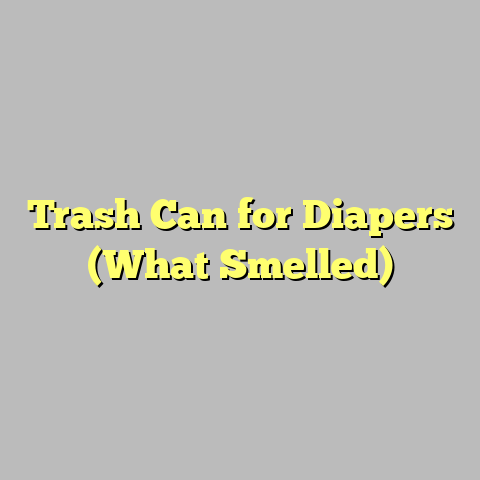 Trash Can for Diapers (What Smelled)