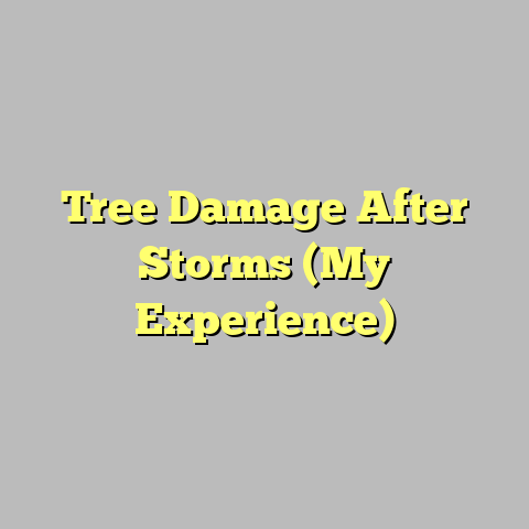 Tree Damage After Storms (My Experience)