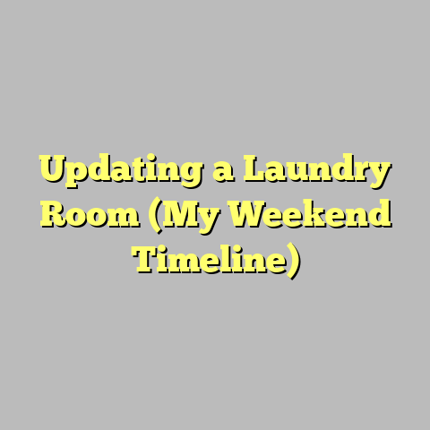 Updating a Laundry Room (My Weekend Timeline)