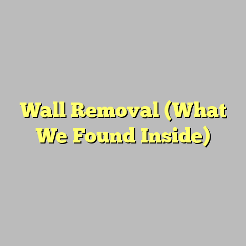 Wall Removal (What We Found Inside)