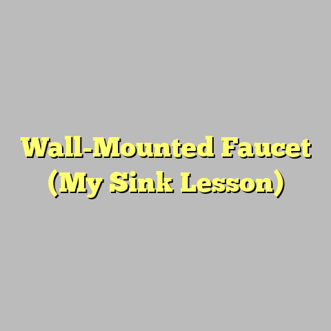 Wall-Mounted Faucet (My Sink Lesson)