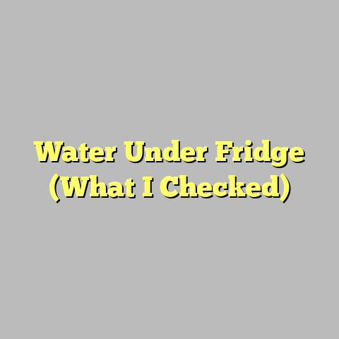 Water Under Fridge (What I Checked)