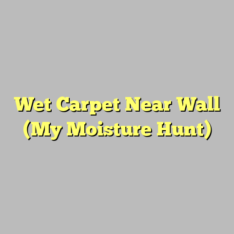Wet Carpet Near Wall (My Moisture Hunt)