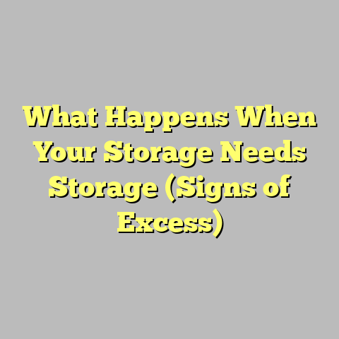 What Happens When Your Storage Needs Storage (Signs of Excess)
