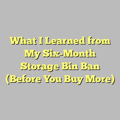What I Learned from My Six-Month Storage Bin Ban (Before You Buy More)