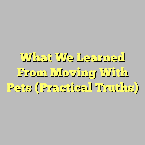 What We Learned From Moving With Pets (Practical Truths)