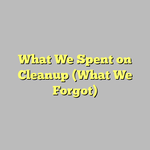 What We Spent on Cleanup (What We Forgot)