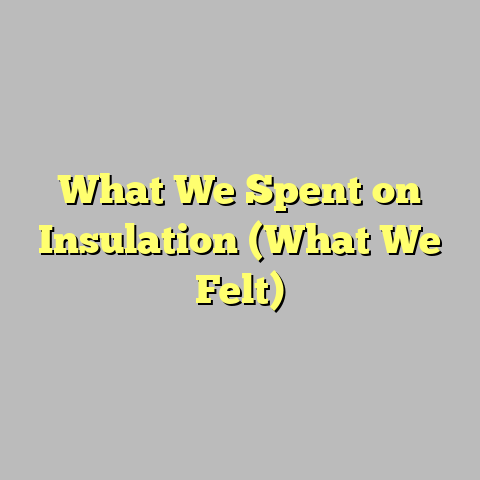 What We Spent on Insulation (What We Felt)