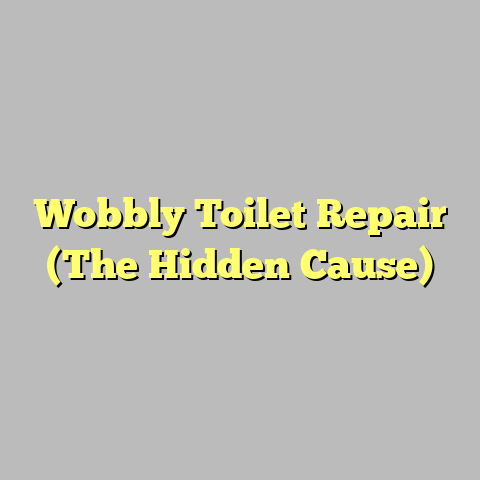 Wobbly Toilet Repair (The Hidden Cause)